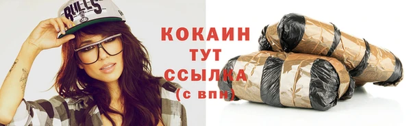 винт Каменка