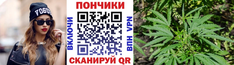 купить наркоту Лодейное Поле Шишки марихуана ГИДРОПОН